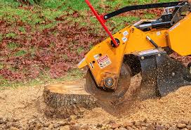 Best Stump Grinding and Removal  in California, PA